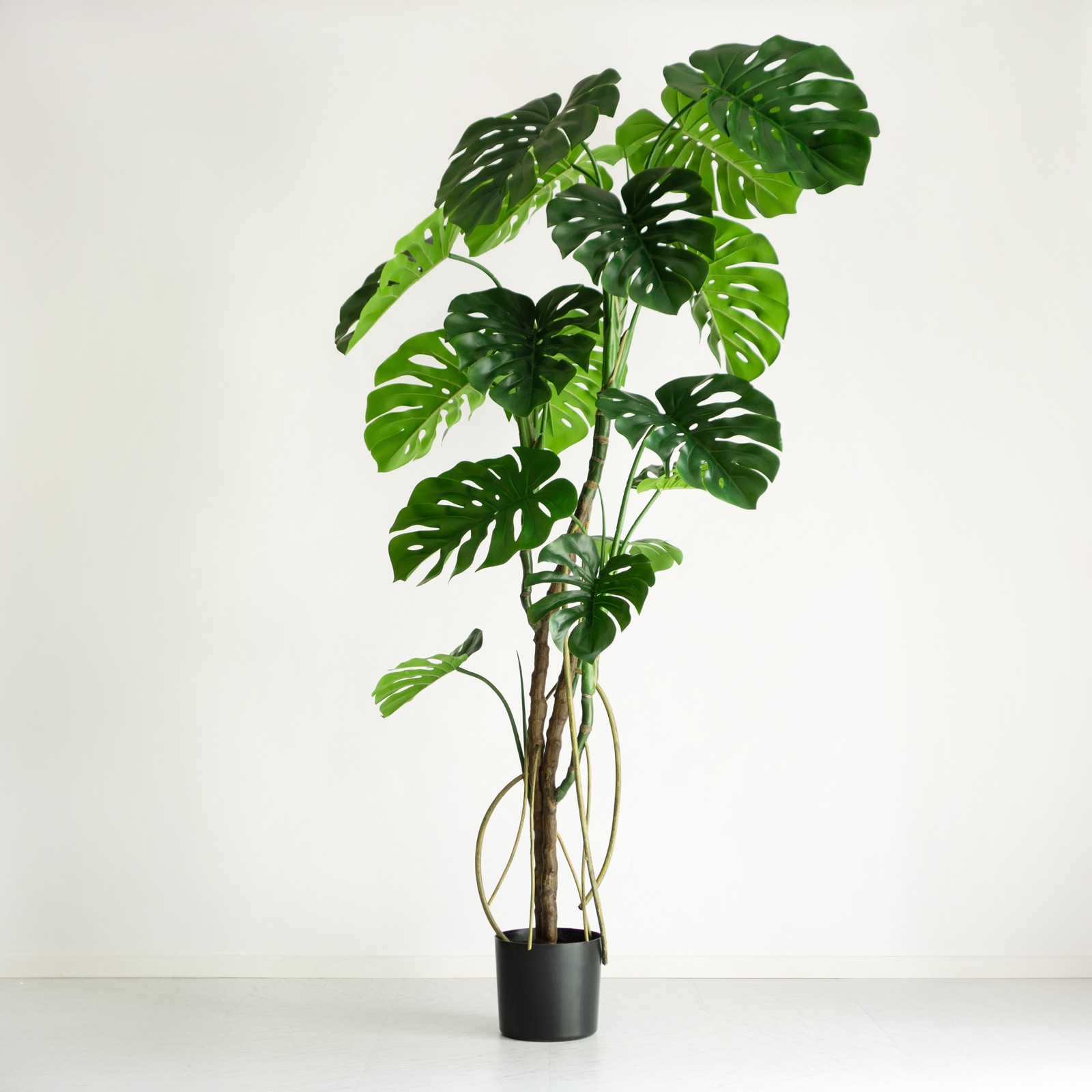 モンステラ H180cm｜フェイクグリーンならデコレラ公式通販