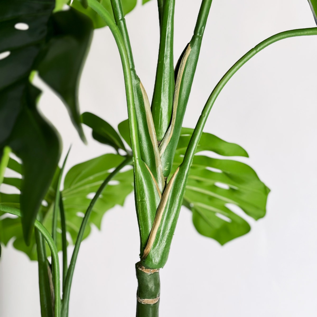 モンステラ H180cm｜フェイクグリーンならデコレラ公式通販