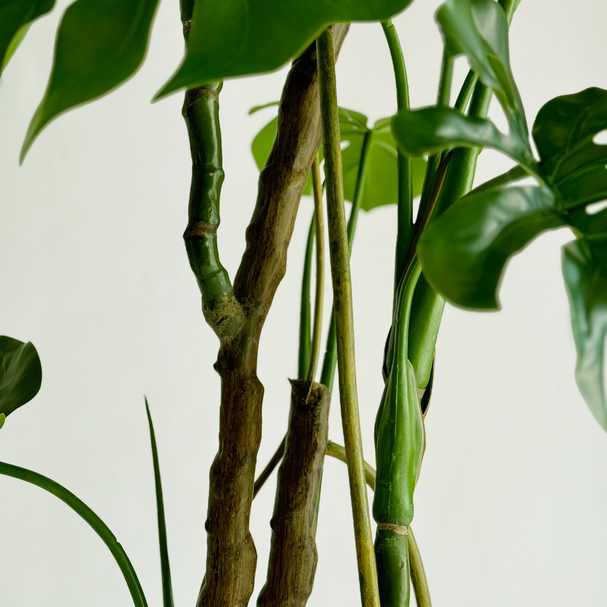 モンステラ H180cm｜フェイクグリーンならデコレラ公式通販