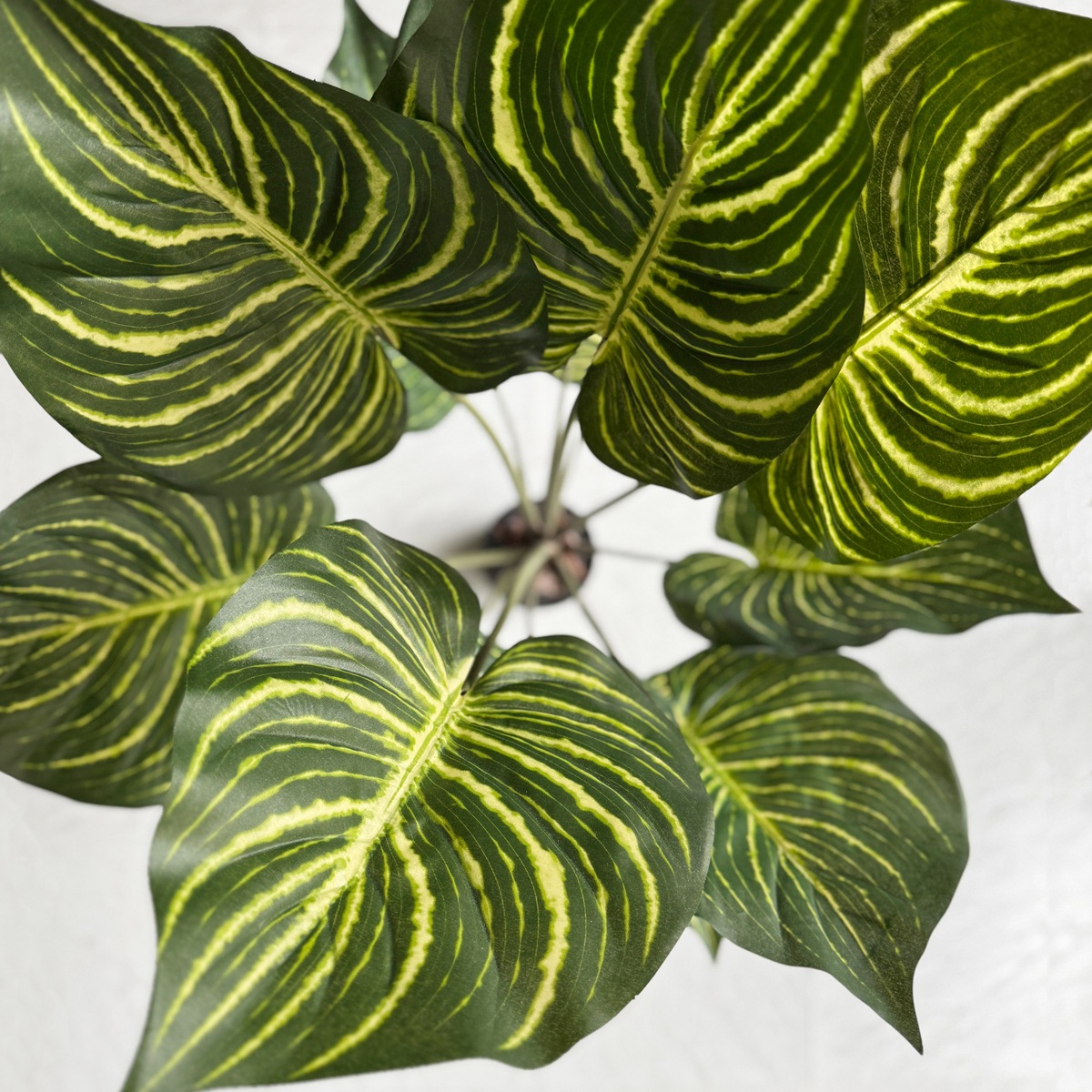 光触媒　人工観葉植物　ウォールグリーン　フェイクグリーン　ゼブラパーム 光触媒 人工観葉植物 ウォールグリーン フェイクグリーン ゼブラ