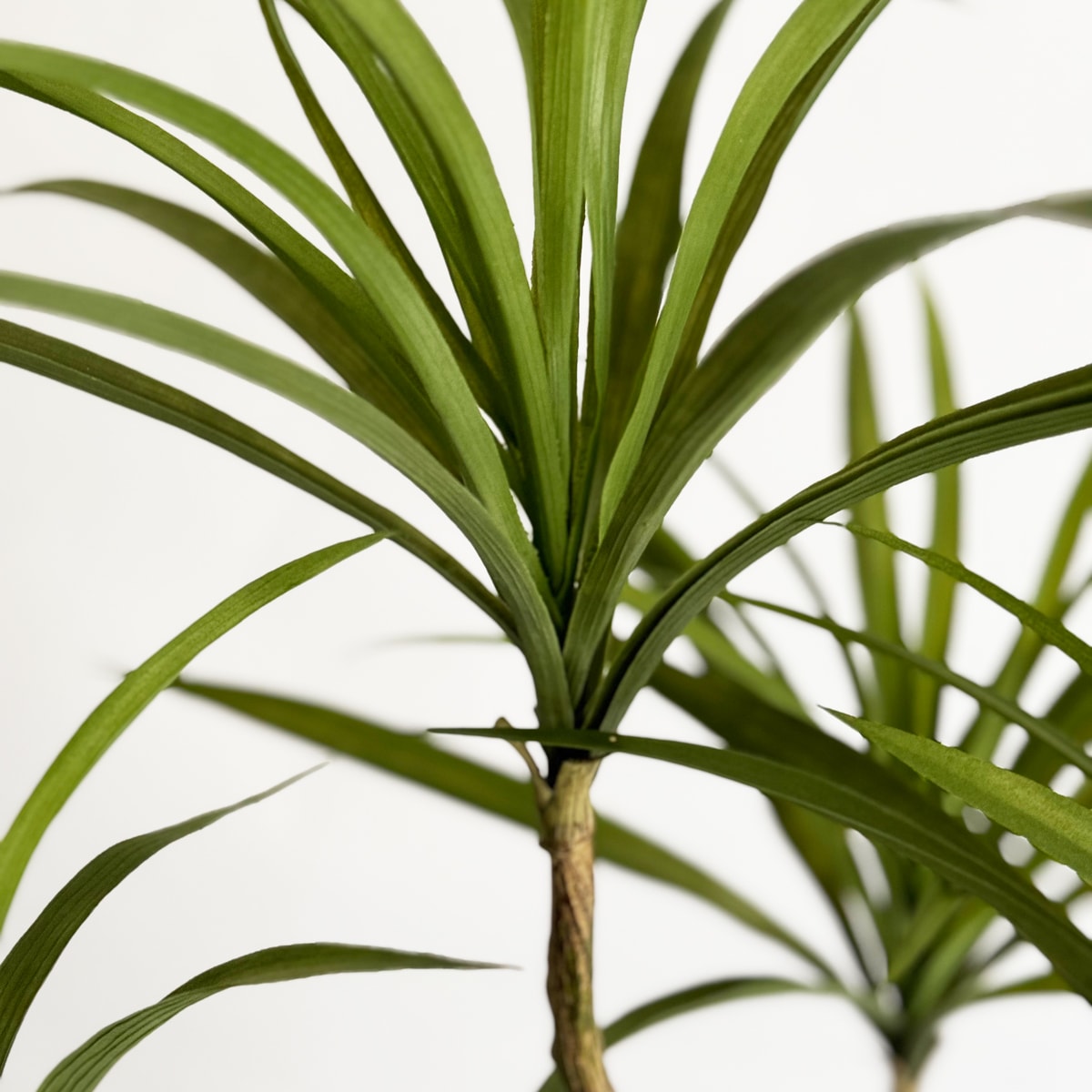 ドラセナ H120cm｜フェイクグリーンならデコレラ公式通販