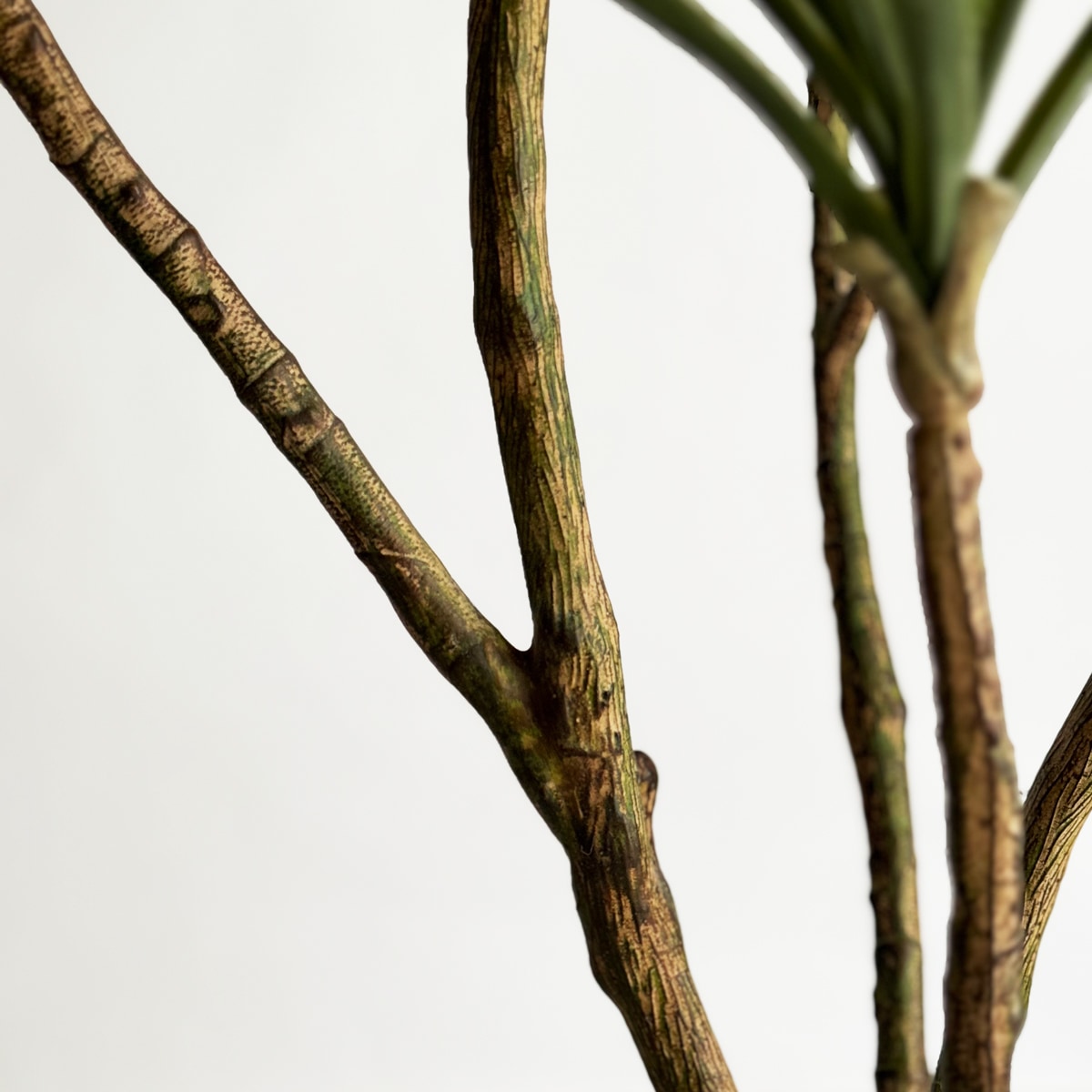 ドラセナ H120cm｜フェイクグリーンならデコレラ公式通販