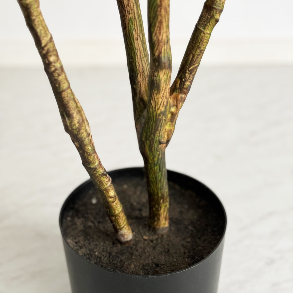 ドラセナ H120cm｜フェイクグリーンならデコレラ公式通販