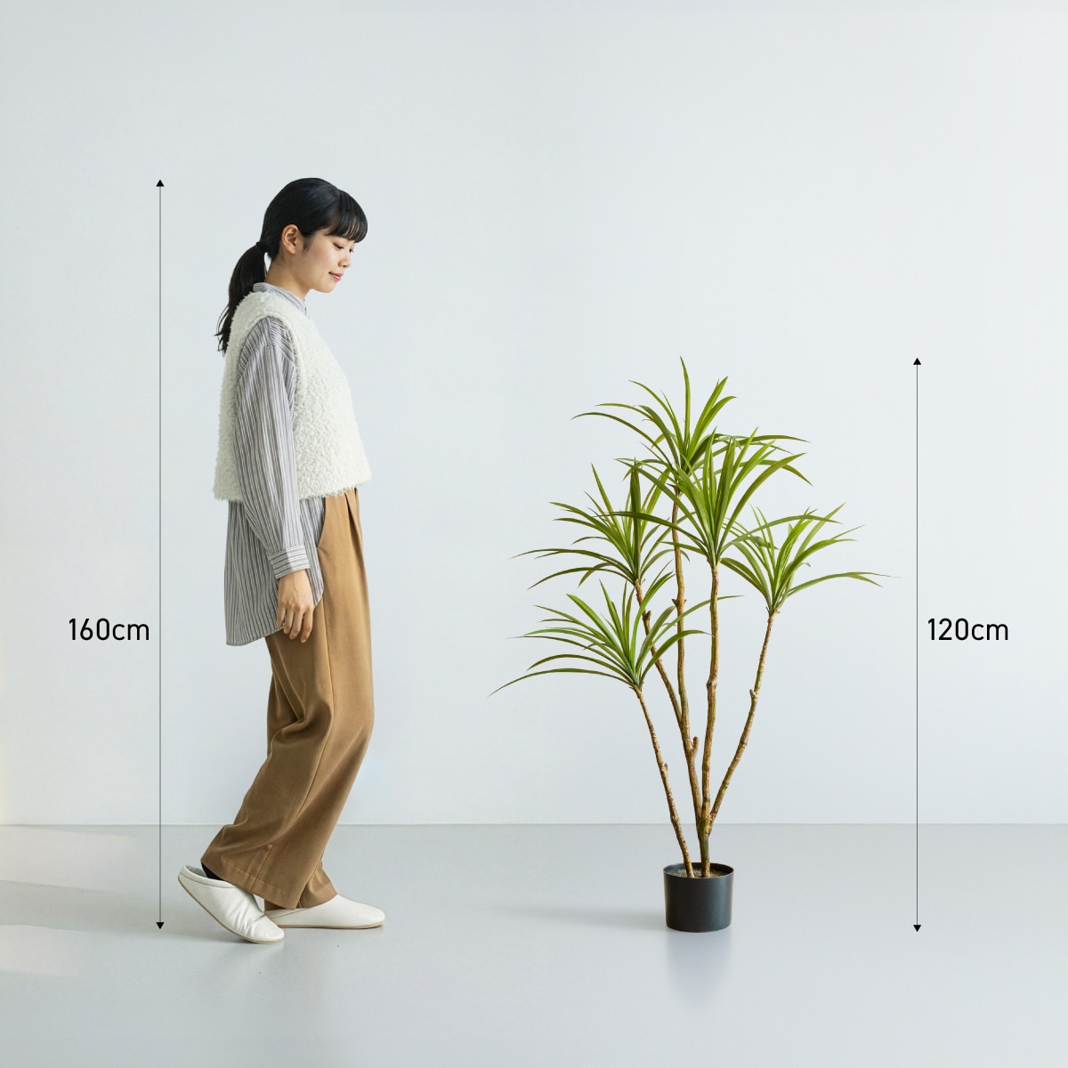 ドラセナ グリーン H120cm｜フェイクグリーンならデコレラ公式通販