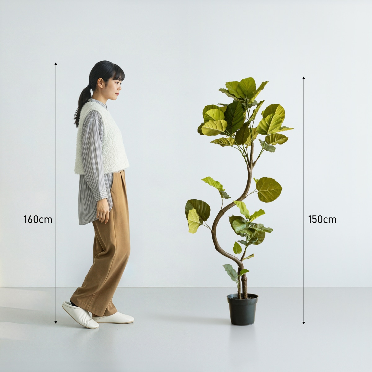 ウンベラータ・スパイラル H150cm｜フェイクグリーンならデコレラ公式通販