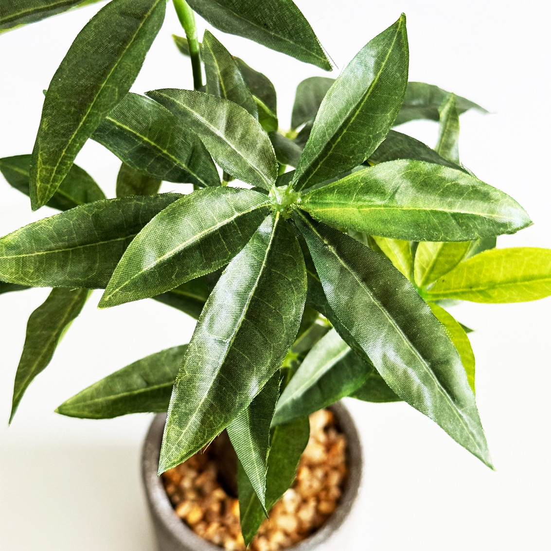 パキラ Geiketsu パキラ H30cm（ポット付き）｜フェイクグリーンならデコレラ公式通販