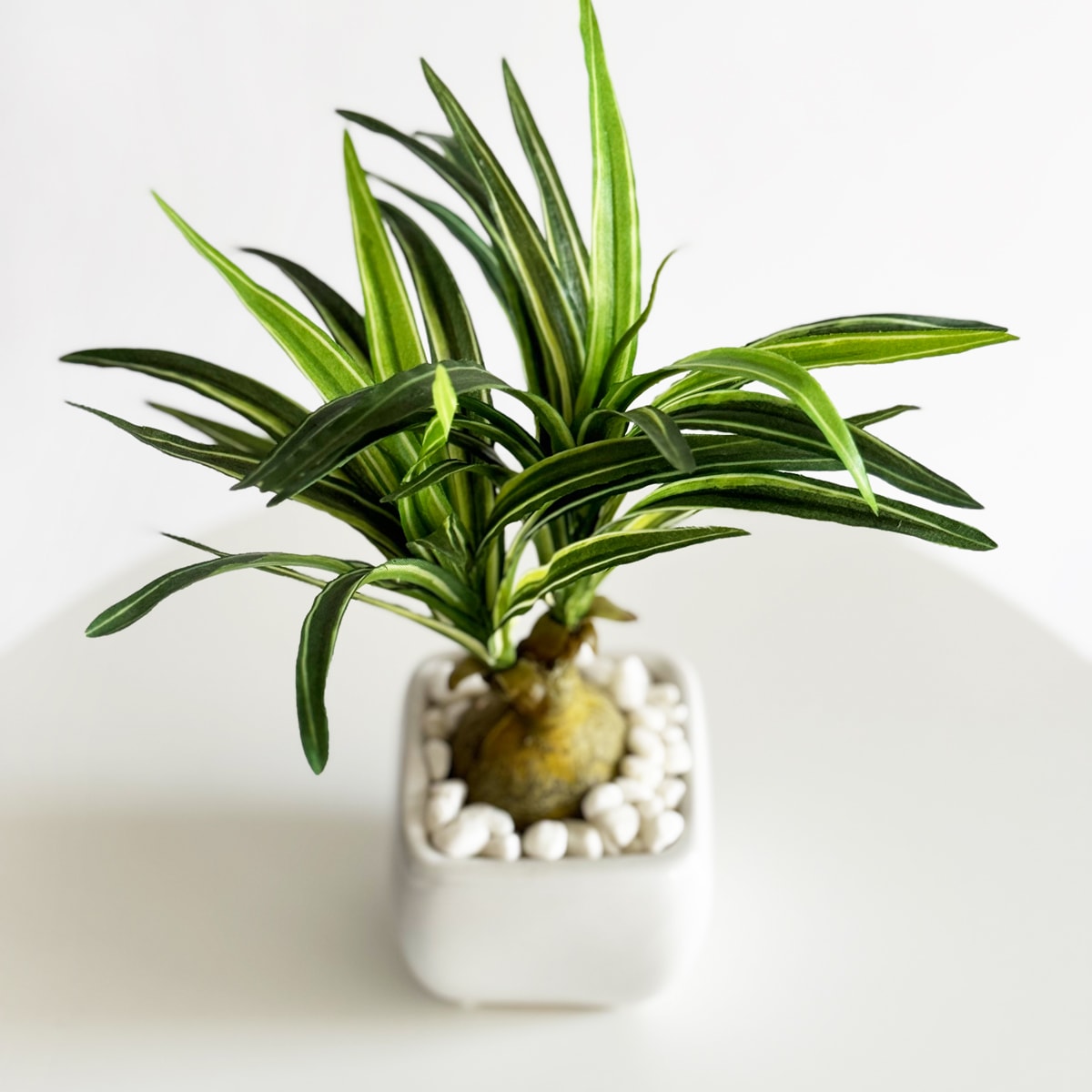 木の葉模様　壺 木の葉模様 壺