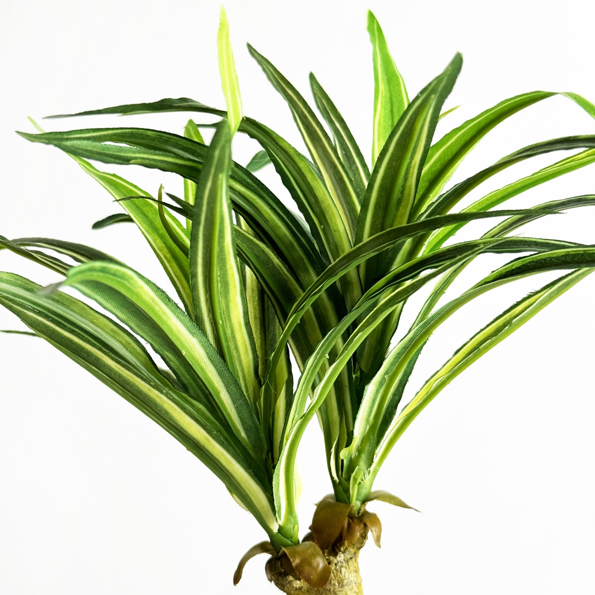 木の葉模様　壺 陶賊 -TOUZOKU- bonsai & pottery