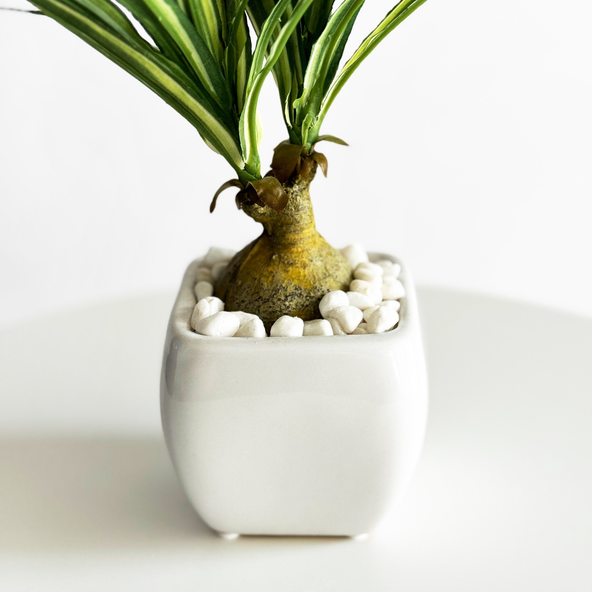 木の葉模様　壺 陶賊 -TOUZOKU- bonsai & pottery