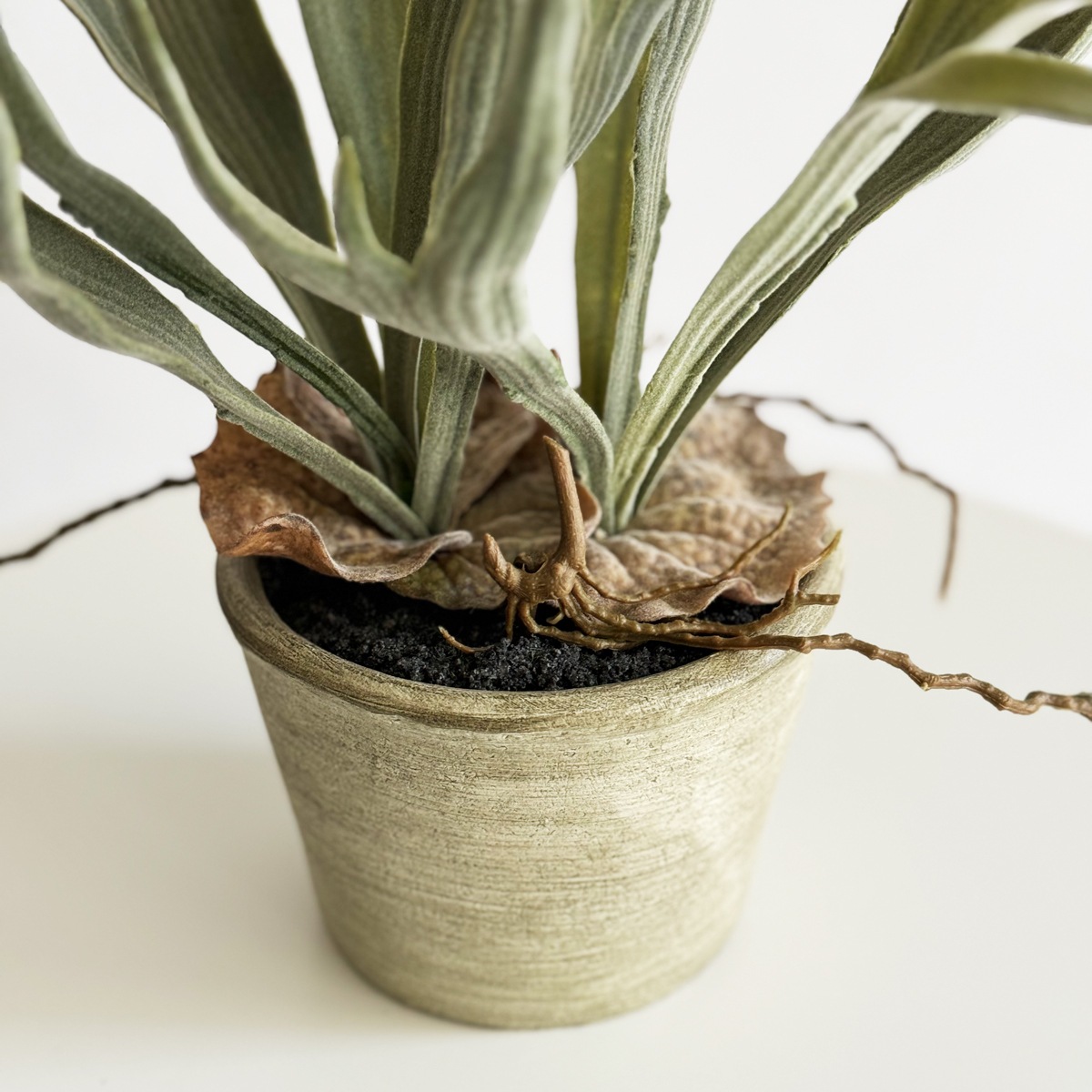 スタッグホーン・ファーン H40cm（ポット付き）｜フェイクグリーンなら