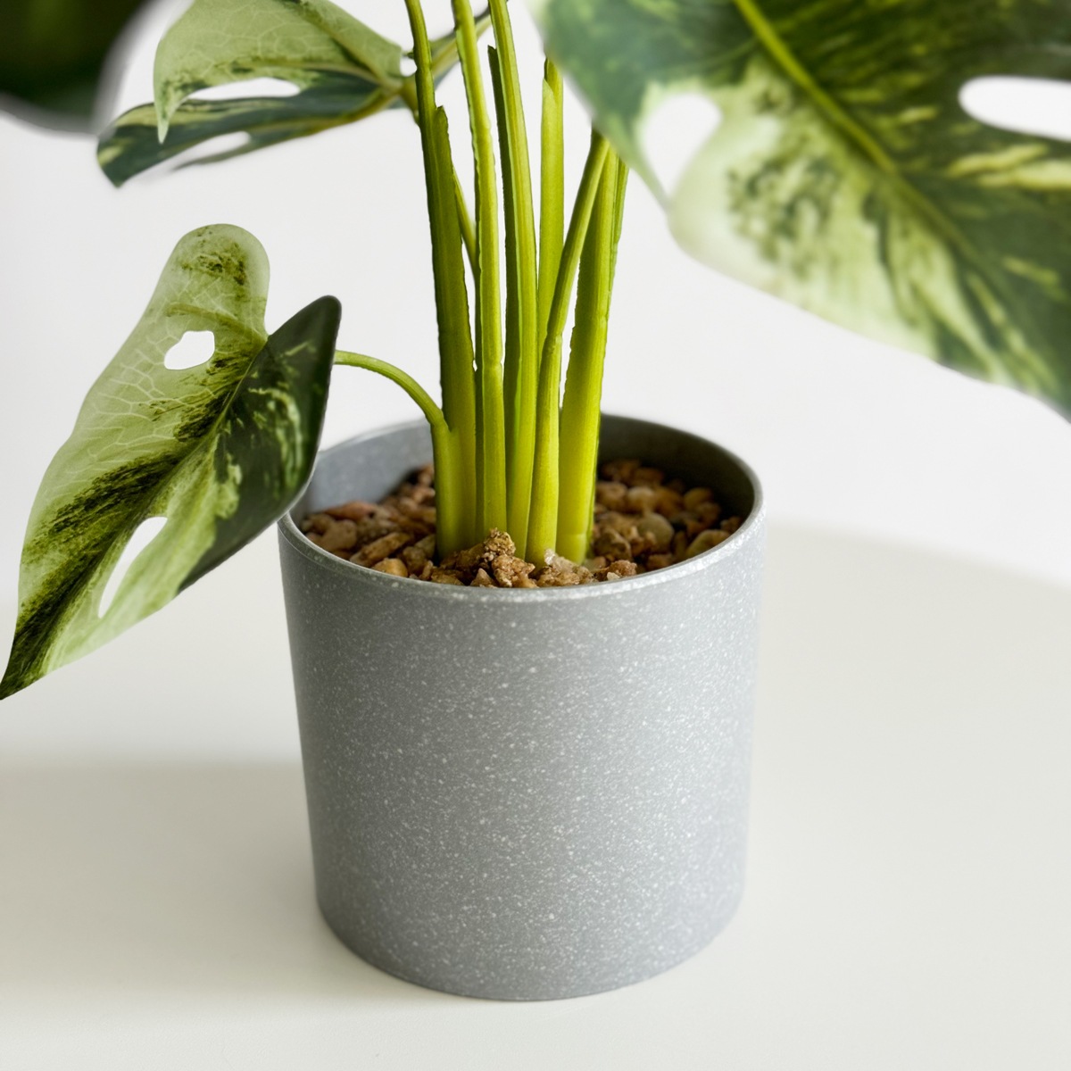 モンステラ・バリエガタ H40cm（ポット付き）｜フェイクグリーンなら