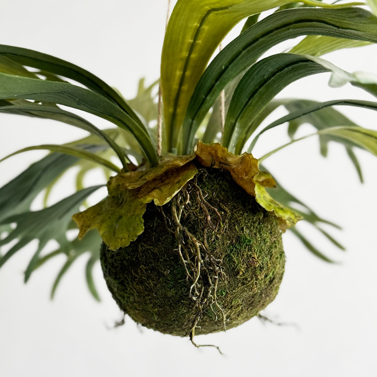 光触媒　人工観葉植物　ウォールグリーン　フェイクグリーン　コウモリランモスボール コウモリラン モスボール（麻紐付き）｜フェイクグリーンなら