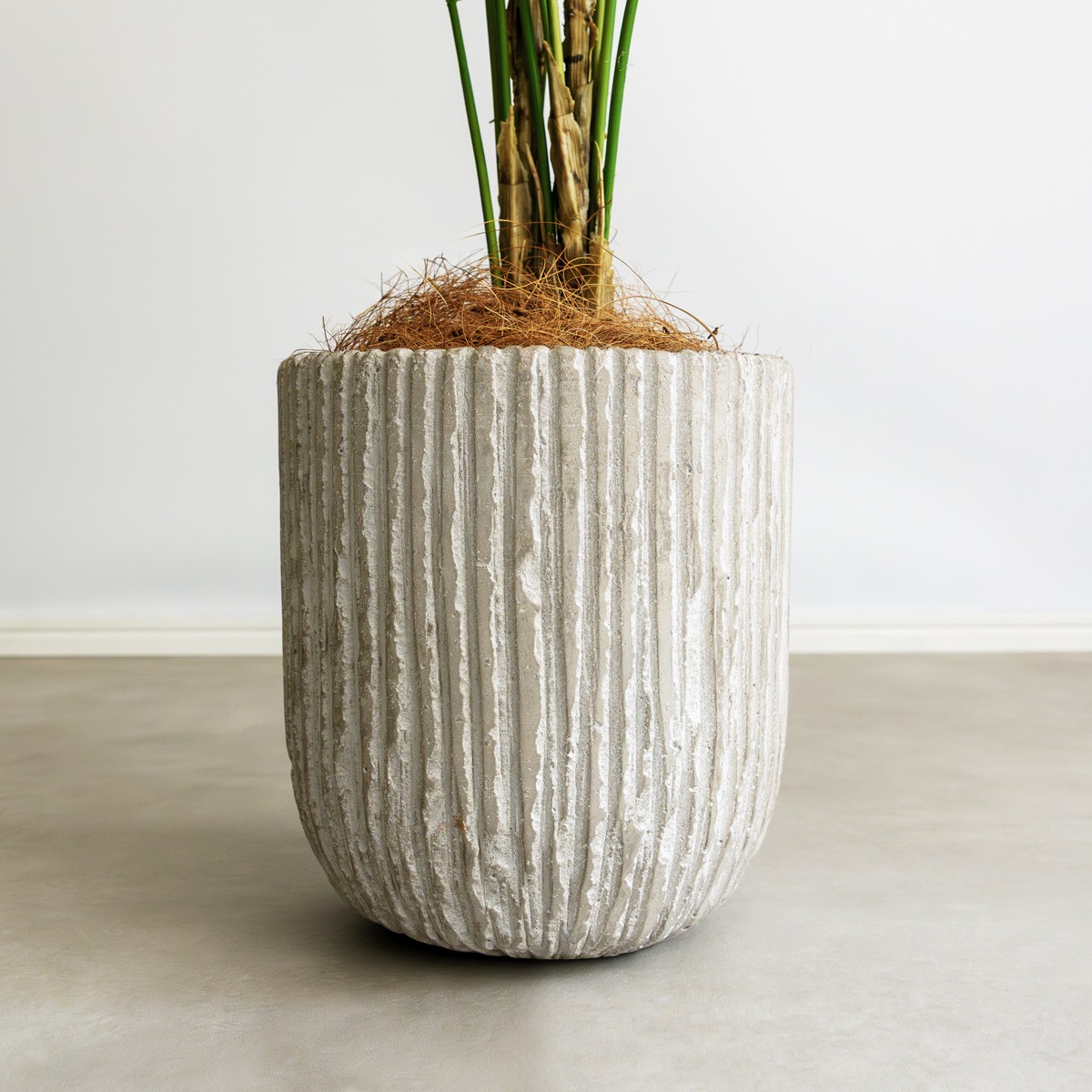 アレカヤシ H80cm（ポット付き）｜フェイクグリーンならデコレラ公式通販