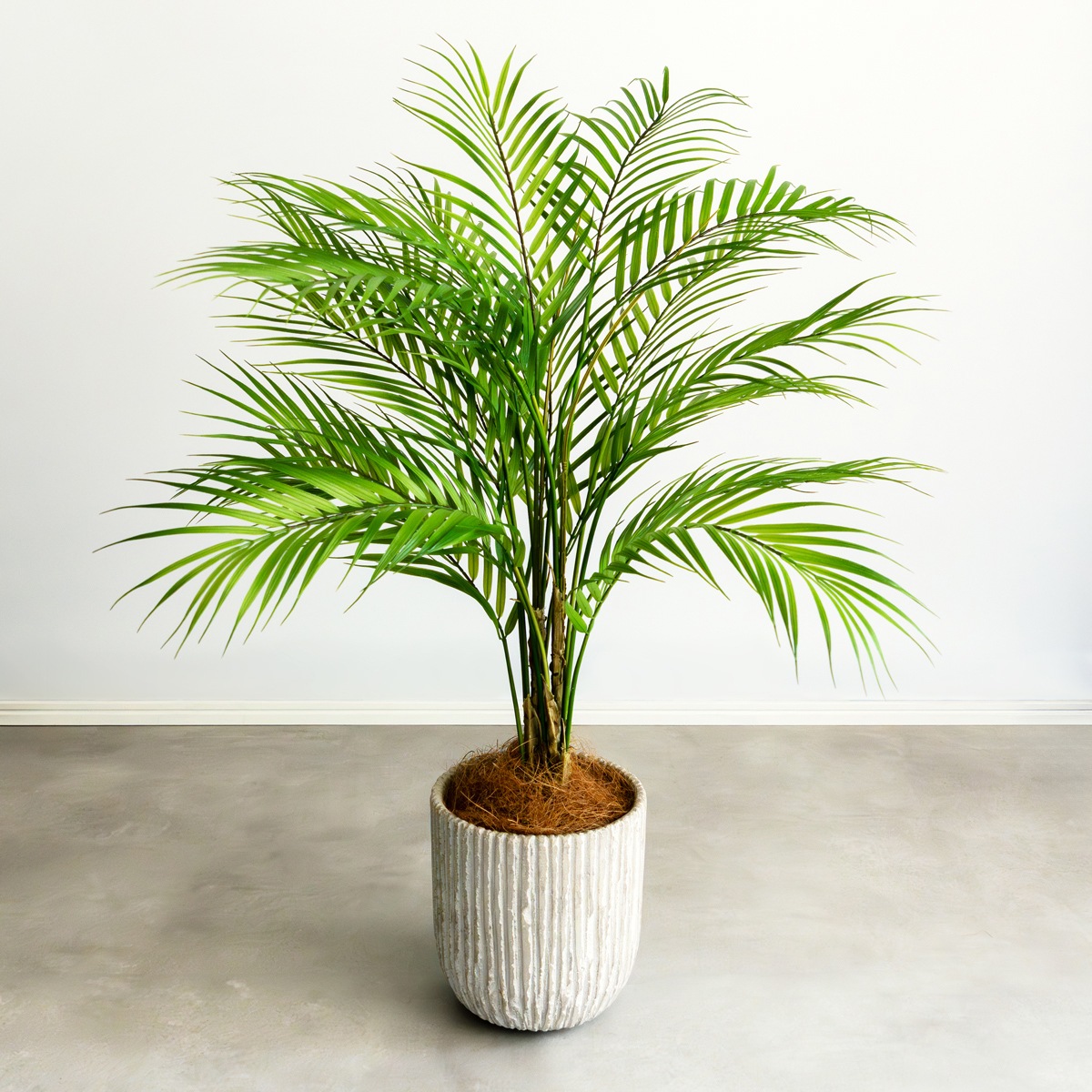 アレカヤシ H80cm（ポット付き）｜フェイクグリーンならデコレラ公式通販