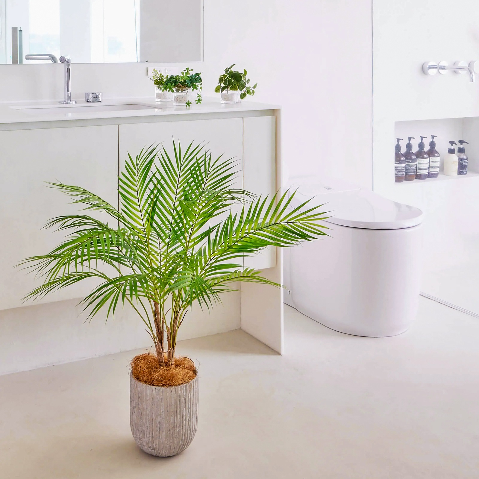 アレカヤシ H80cm（ポット付き）｜フェイクグリーンならデコレラ公式通販