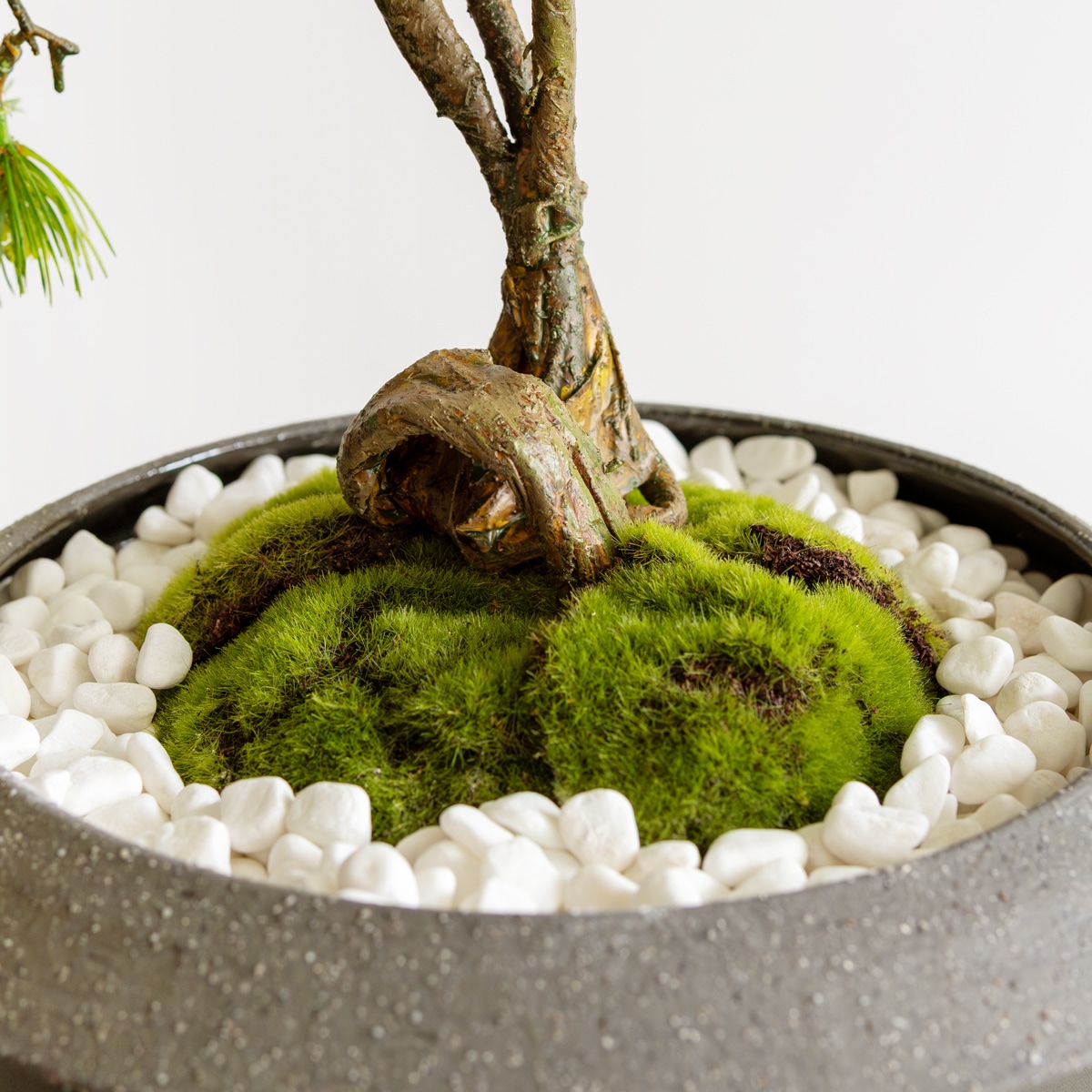 松 盆栽（平鉢）｜フェイクグリーンならデコレラ公式通販