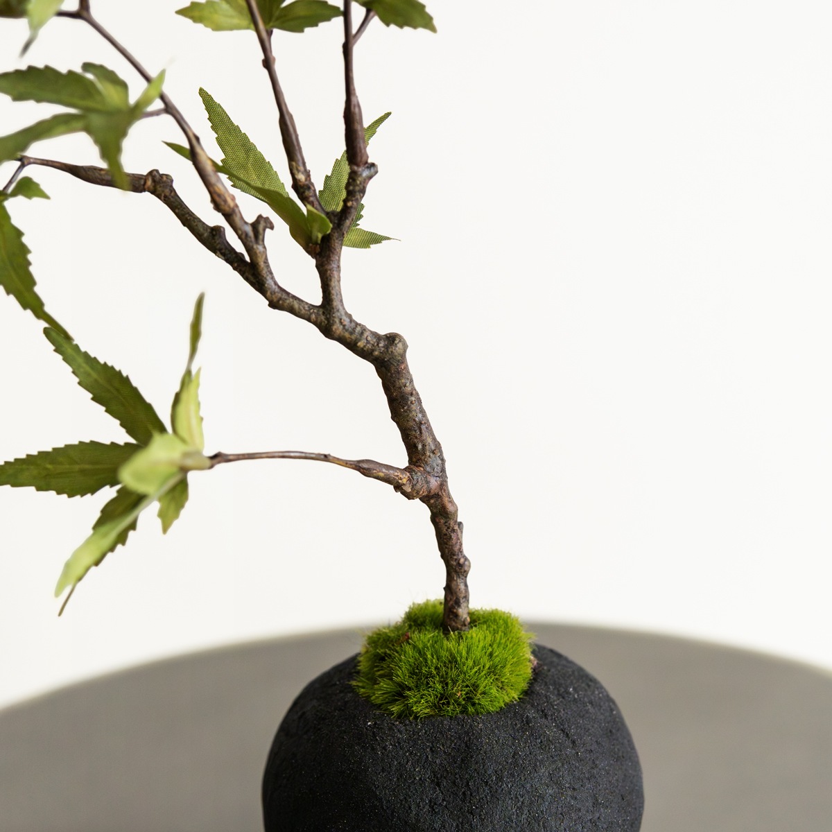 モミジ ミニ盆栽（黒皿付き）｜フェイクグリーンならデコレラ公式通販