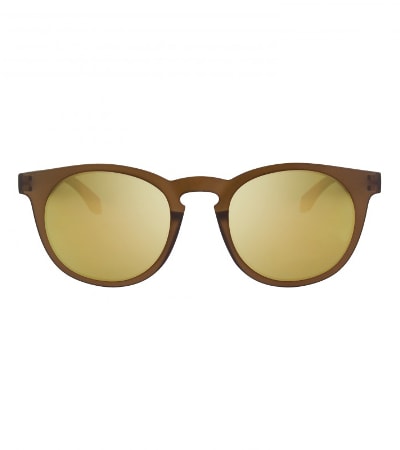 【ALSTECA】 Bronze Transparent×Gold Mirror/WYNWOOD C54