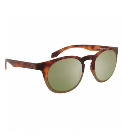 【ALSTECA】 Havana-Gold×Green Mirror/WYNWOOD C74