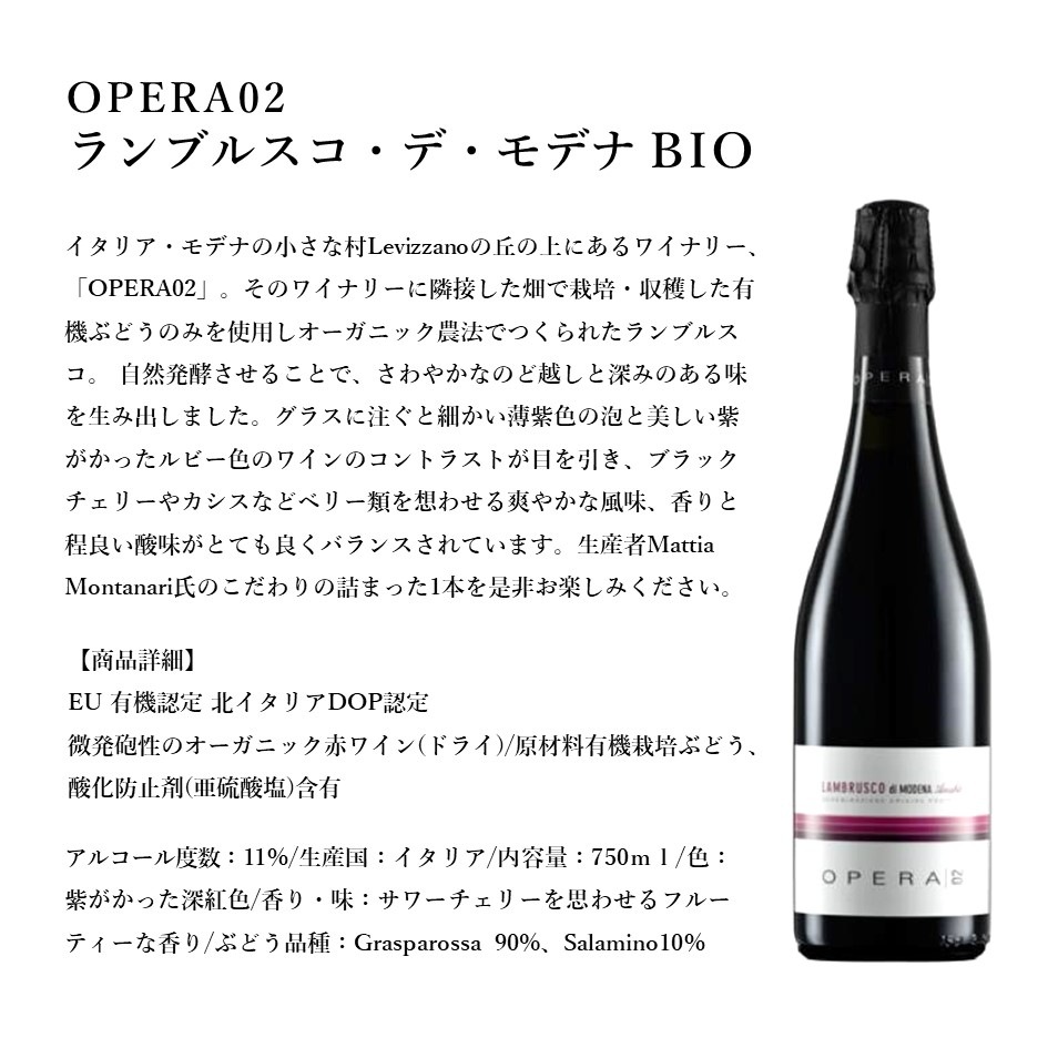 【送料込】＜OPERA02＞ランブルスコと肉グルメ