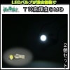 �ڥ�������!!LED���꡼����T10�⵱��SMD/1W/2�ĥ��å�/�ۥ磻��