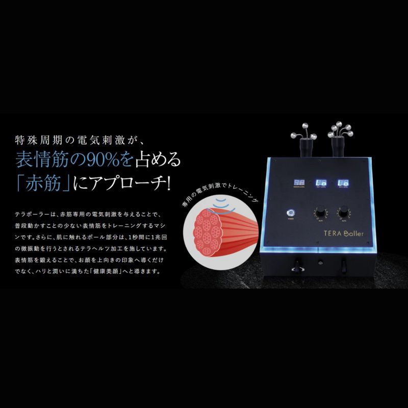 テラボーラー TERAballer（メーカー直送品）