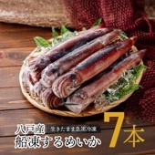 八戸産 船凍するめいか7杯入 約1.6kg～1.7kg イカ捌き方＆塩辛レシピ付