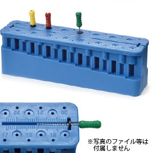 ルートキャナルメジャー