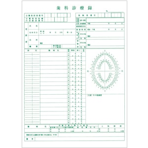 レセコン対応 A4カルテ用紙 1号紙・緑 (500枚)