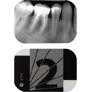 【ｾｰﾙ】CS7200 イメージングプレート (4枚)[ケアストリーム]