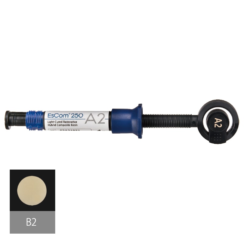 エスコム250 B2 (4g)[SPIDENT]