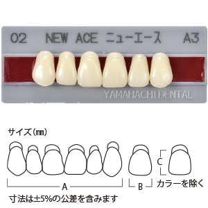 グロリア ニューエース前歯 上顎 O3 A3 (6歯)[山八歯材工業]