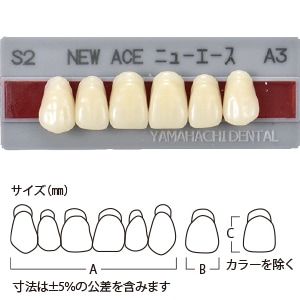 グロリア ニューエース前歯 上顎 S6 A3 (6歯)[山八歯材工業]