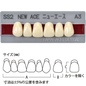 グロリア ニューエース前歯 上顎 SS2 A3 (6歯)[山八歯材工業]