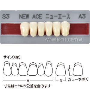 グロリア ニューエース前歯 下顎 S3 A3 (6歯)[山八歯材工業]