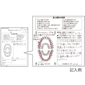 【ｻﾝﾌﾟﾙ】TBIチェックシート