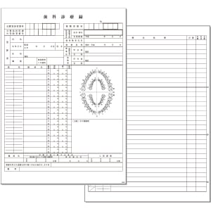【ｻﾝﾌﾟﾙ】A4カルテ用紙 1号紙 国保(緑)