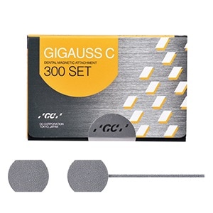 ジーシー ギガウスC C300[ジーシー]