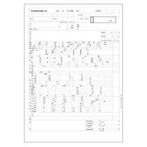 A4レセプト用紙(枠印刷あり・穴あり) (100枚)
