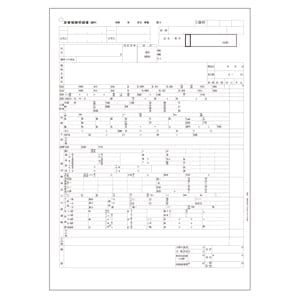 【ｻﾝﾌﾟﾙ】A4レセプト用紙(枠印刷あり・穴あり) (100枚)