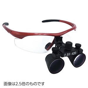 ビギナールーペ 3.5倍 レッド
