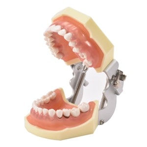 【ｾｰﾙ】SRPトレーニング模型