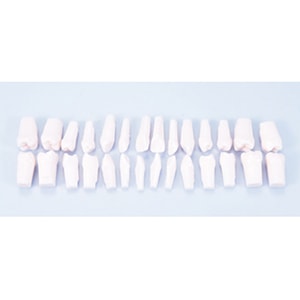 実習用歯牙模型 詰め替え用歯牙