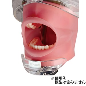 シンプルマネキンⅢ 頬粘膜ボックス フルカバー[ニッシン]