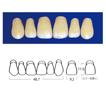 エフセラ-A SHORT SQUARE MOULDS SS7-A3 (6歯)[山八歯材工業]