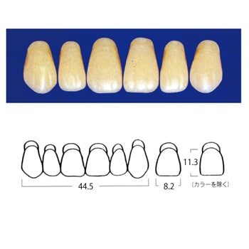 エフセラ-A COMBINATION MOULDS C5-A3 (6歯)[山八歯材工業]
