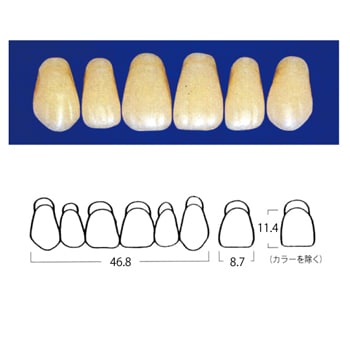 エフセラ-A COMBINATION MOULDS C6-A3 (6歯)[山八歯材工業]