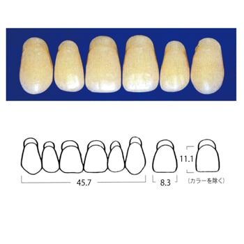 エフセラ-A SQUARE MOULDS S5-A3 (6歯)[山八歯材工業]