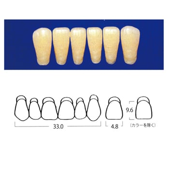 エフセラ-A COMBINATION MOULDS LA4-A3 (6歯)[山八歯材工業]