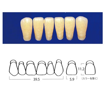 エフセラ-A COMBINATION MOULDS LA7-A3 (6歯)[山八歯材工業]